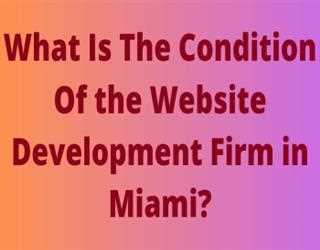 What Is The Condition Of the Website Development Firm in Miami?