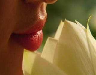 6 Best Lip Gloss Packaging ideas that are helpful for Business