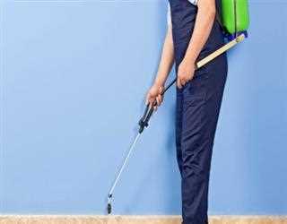 How to hire a perfect pest control service