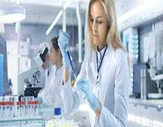 DMPK Studies During Drug Discovery and Development