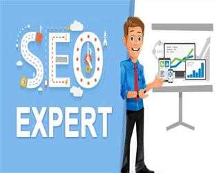 How to become a best SEO Executive?