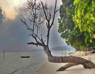 Top 5 Most Famous Beaches in Andaman Nicobar Islands