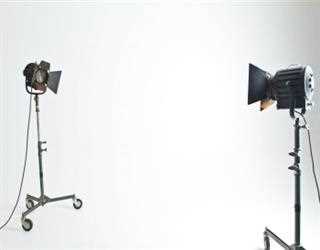Taking Wildlife Photography For Beginners