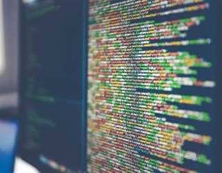 Create a Culture of Collaboration with Microsoft SharePoint Development