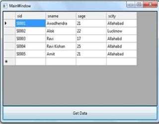 WindowsFormsHost control in WPF