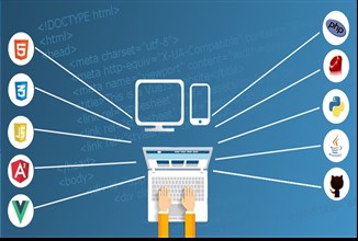 Senior Developers vs. Full-Stack Generalists: Who Delivers More Value?