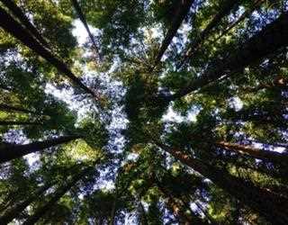 Environment-Friendly Technologies and Accessories