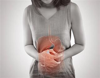 What is Gastroenterology