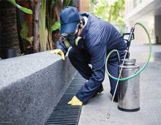What to do when hiring a pest control service