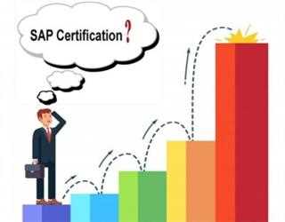 What is the Scope of SAP EWM?