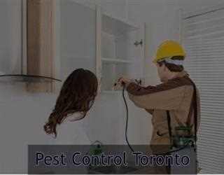 How to choose the Pest Control Services that Ensure the Safety of Your Home?