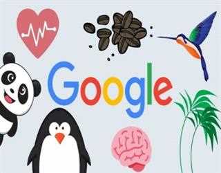 Google Algorithm Updates and the Development
