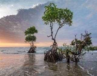 Rising sea-level a cause of worry!