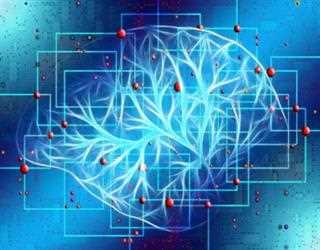 Psilocybin Rewires Brain Connections Reduces Brain's Depression