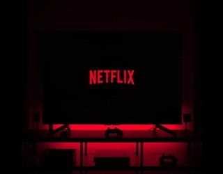 Netflix Subscriber's loss linked to household sharing password