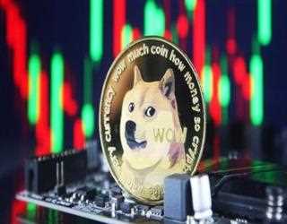 Ukraine Received Crypto Donations in Dogecoin and calls on Elon Musk for More Support