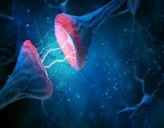 Rain Neuromorphic' artificial intelligence chips are analogue, gets $25 million funding