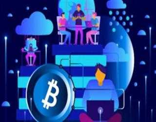 Venture Capital’s investment in the Crypto Projects is too much