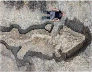 Gigantic 'Sea Dragon' Fossil Found In UK Reservoir, Is 180-Million-Year-Old