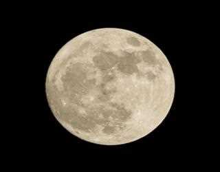 NASA Wants to See What Happens When a SpaceX Space Junk Collides With the Moon