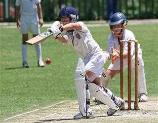 No cryptocurrency and blockchain branding - BCCI to WPL