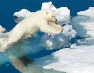 Rising temperatures are triggering a shift in the Arctic that has never been seen before