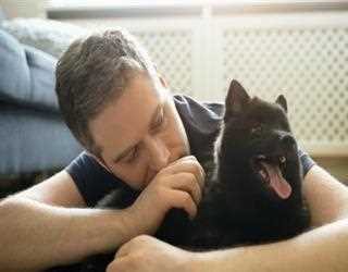Does it Cause Any Good to Human Brain after Petting a Dog