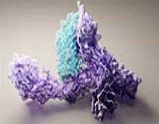 Protein Known to Science is Finally Predicted by Artificial Intelligence