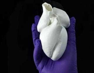 Development of Heart Helical Structure Model by Scientists, which can Create Artificial Heart