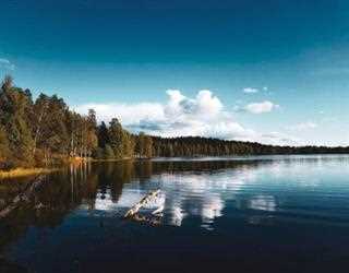 Climate change could turn some blue lakes to green or brown.