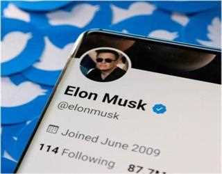 Musk Bid for More Data on Twitter Bot Accounts Denied by Judge