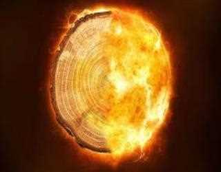 Shadows of radiation in trees may not be explained by catastrophic solar storms.