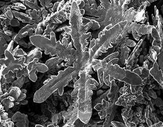 Scientists working with nanotechnology have produced tiny metallic snowflakes.