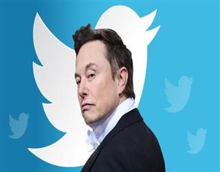 Musk will leave his position as CEO of Twitter once he finds "someone foolish" to succeed him.