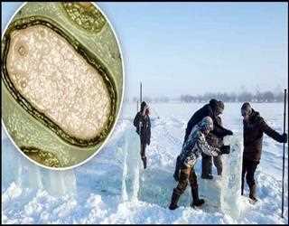 Researchers in Russia unearth a 48,500-year-old "Zombie Virus"