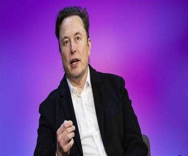 Elon Musk hiring content moderation team of 100 employees