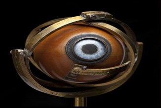 Sam Altman-Backed Tools for Humanity Launches Eye-Scanning Orbs in the UK