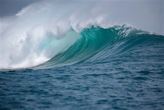 Oceans Are Darkening Globally, Disrupting Life Beneath the Surface: Study